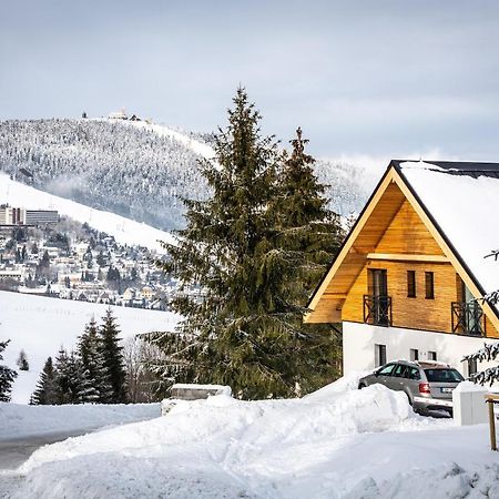 Ski Chalet Klinovec Loučná pod Klínovcem Buitenkant foto