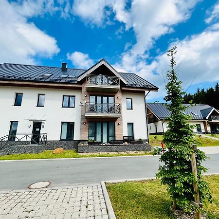 Ski Chalet Klinovec Loučná pod Klínovcem Buitenkant foto