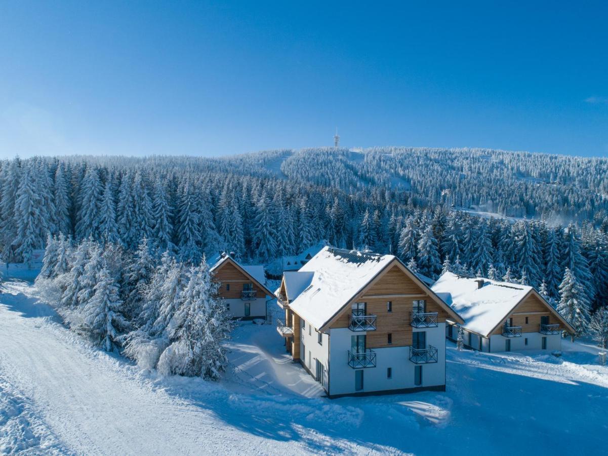 Ski Chalet Klinovec Loučná pod Klínovcem Buitenkant foto