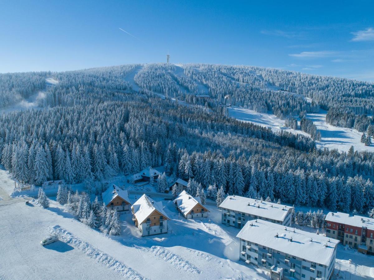 Ski Chalet Klinovec Loučná pod Klínovcem Buitenkant foto