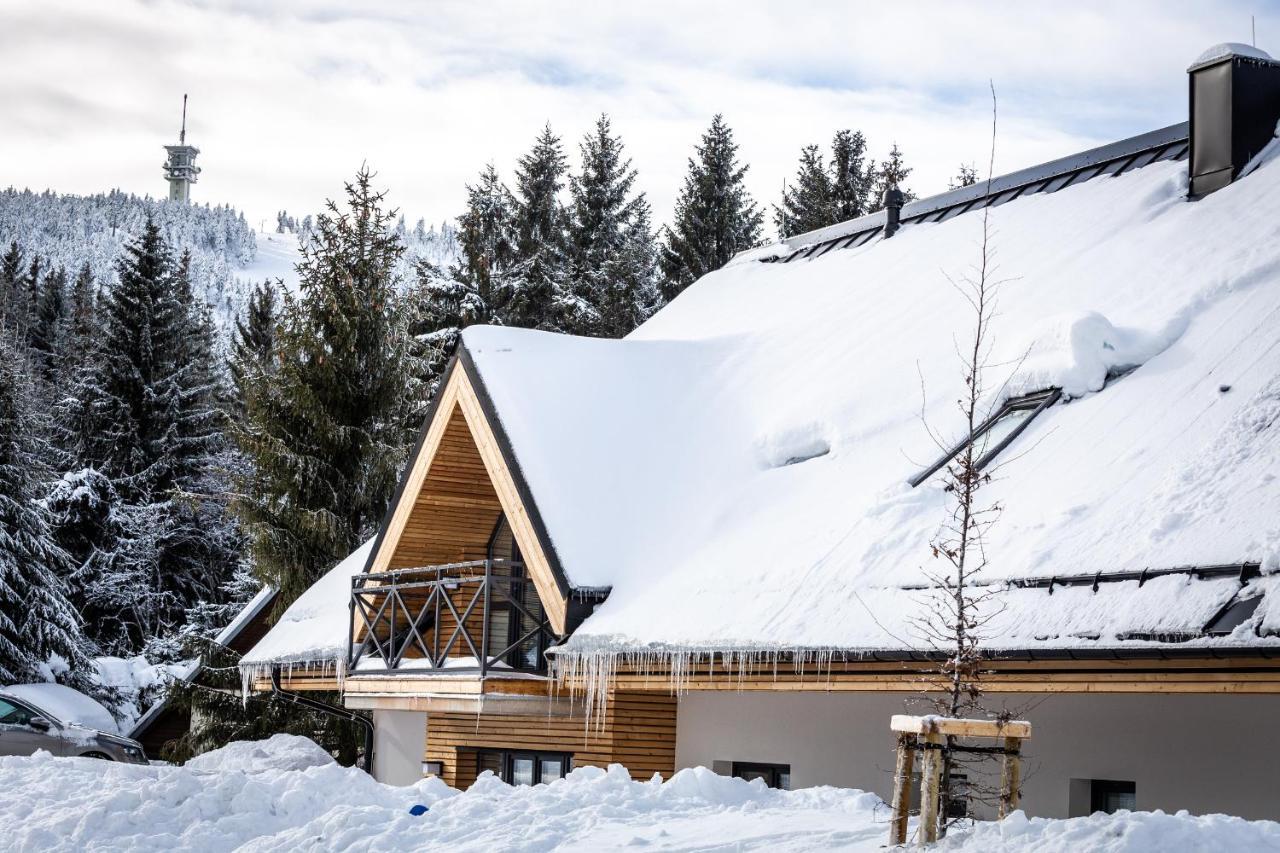 Ski Chalet Klinovec Loučná pod Klínovcem Buitenkant foto