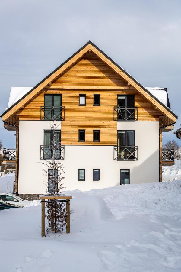 Ski Chalet Klinovec Loučná pod Klínovcem Buitenkant foto
