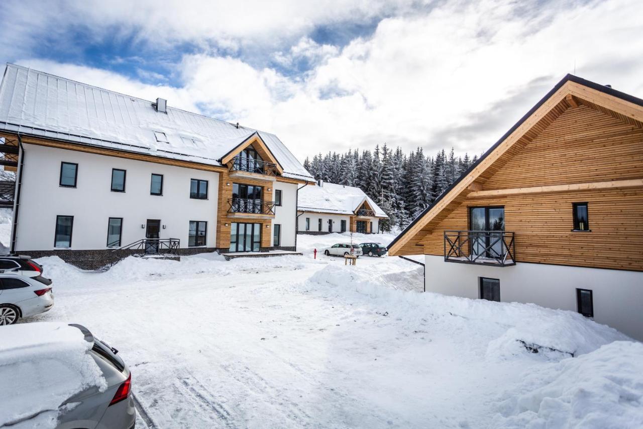 Ski Chalet Klinovec Loučná pod Klínovcem Buitenkant foto