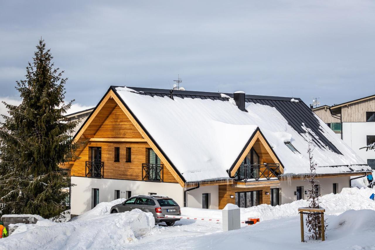 Ski Chalet Klinovec Loučná pod Klínovcem Buitenkant foto
