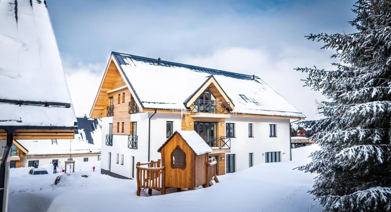 Ski Chalet Klinovec Loučná pod Klínovcem Buitenkant foto