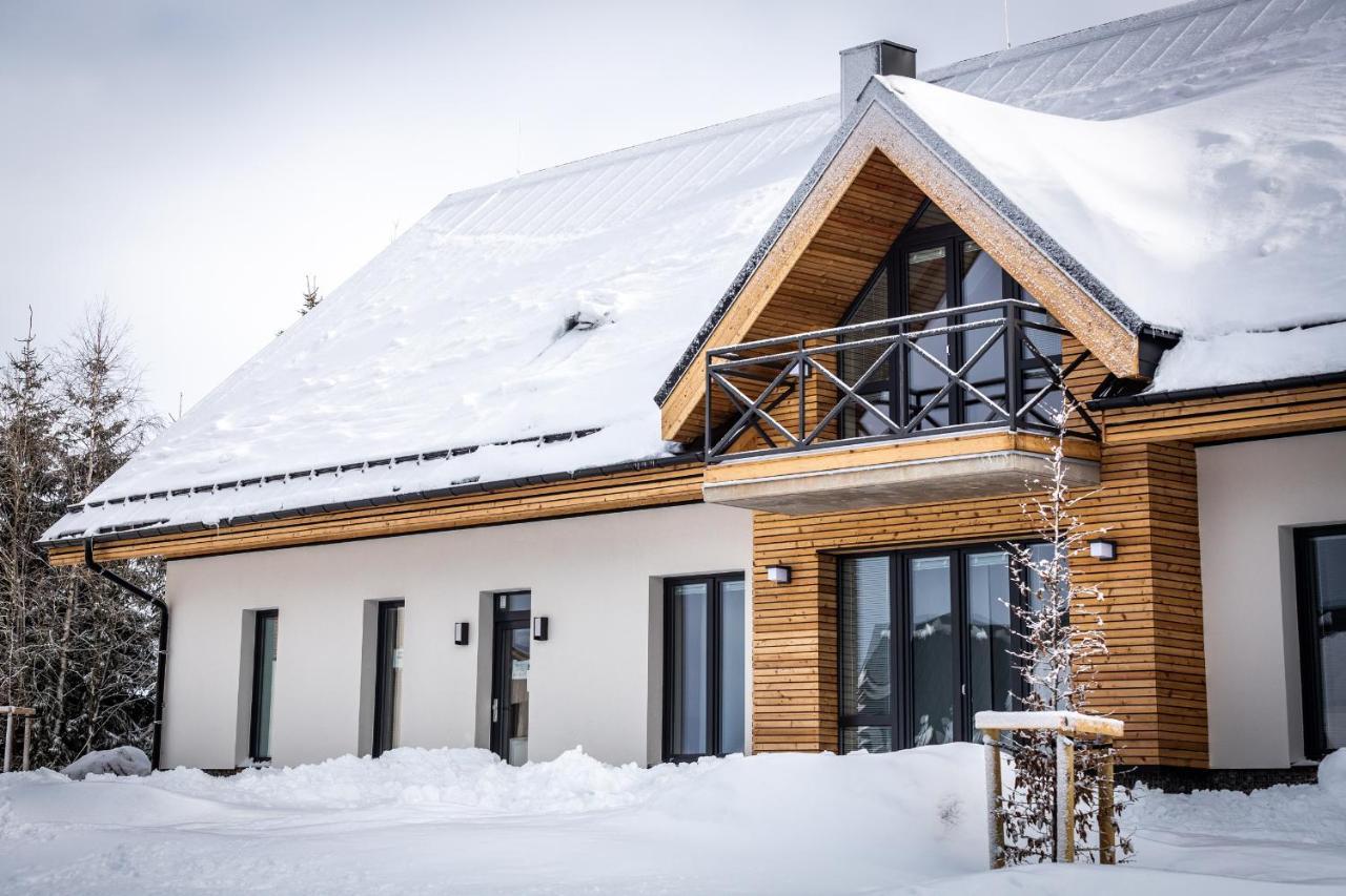 Ski Chalet Klinovec Loučná pod Klínovcem Buitenkant foto