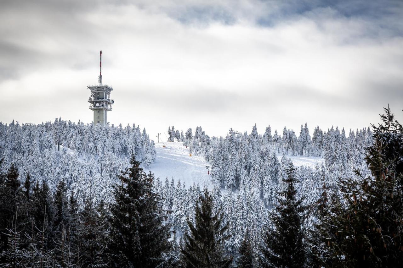 Ski Chalet Klinovec Loučná pod Klínovcem Buitenkant foto