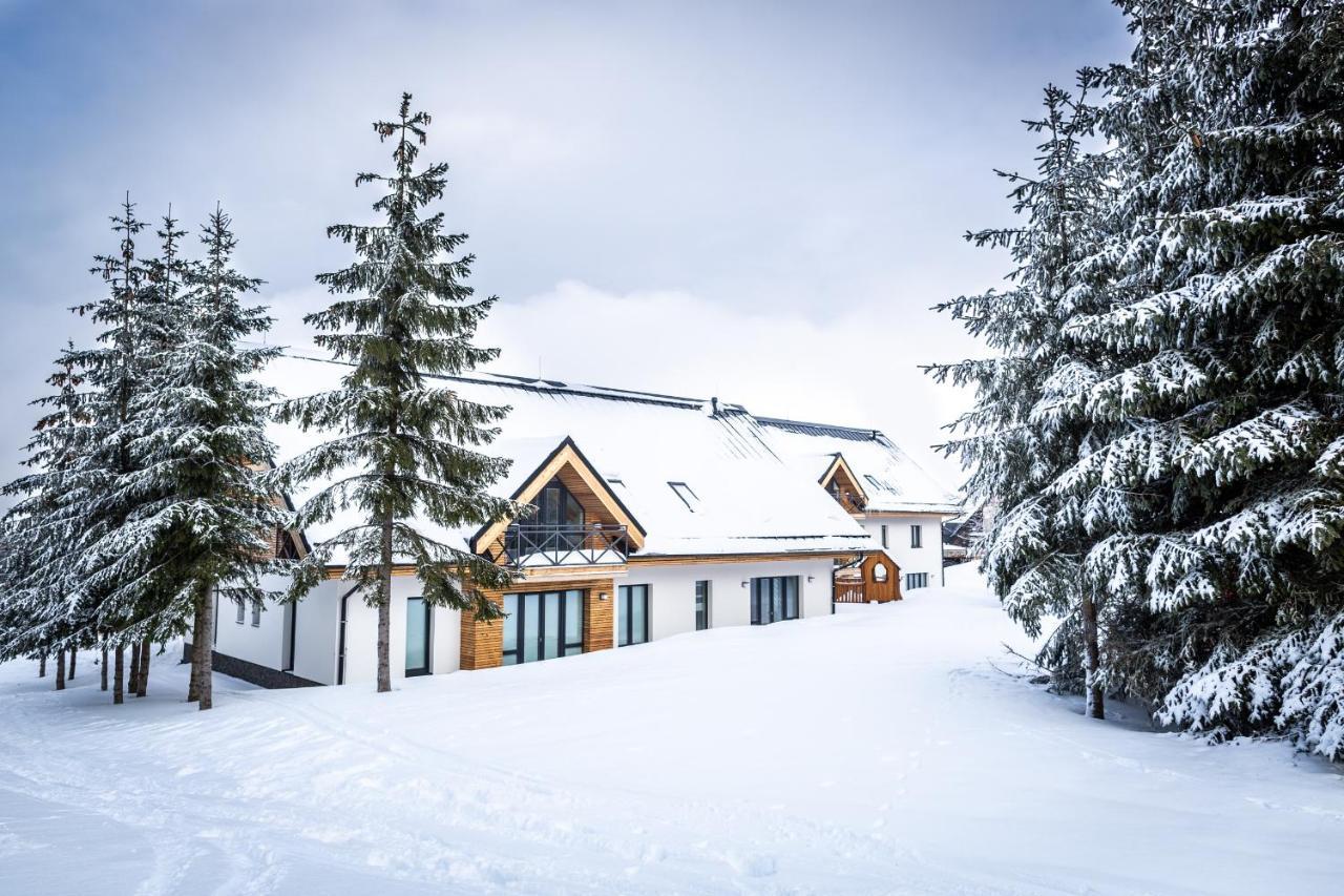 Ski Chalet Klinovec Loučná pod Klínovcem Buitenkant foto