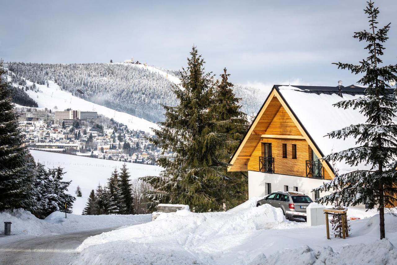 Ski Chalet Klinovec Loučná pod Klínovcem Buitenkant foto