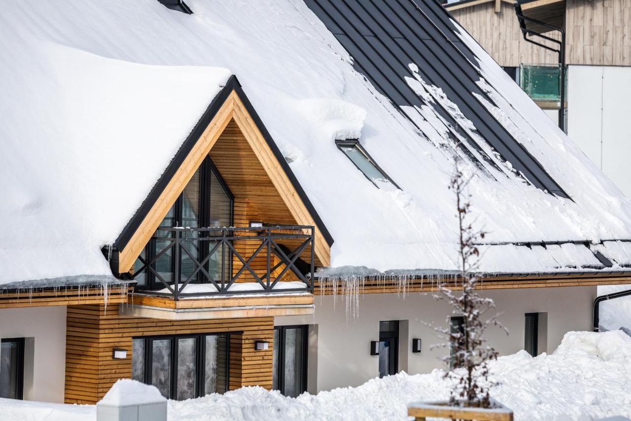 Ski Chalet Klinovec Loučná pod Klínovcem Buitenkant foto