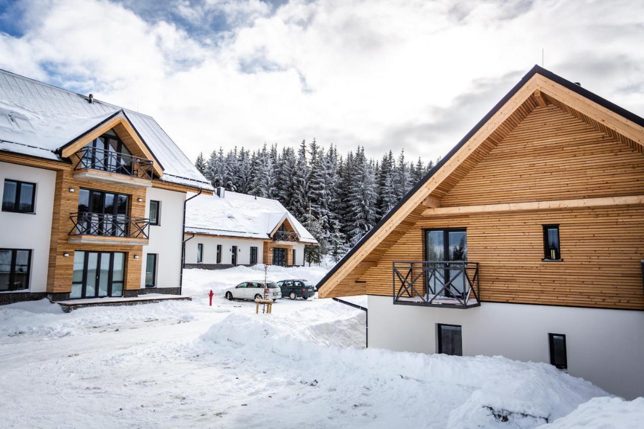 Ski Chalet Klinovec Loučná pod Klínovcem Buitenkant foto