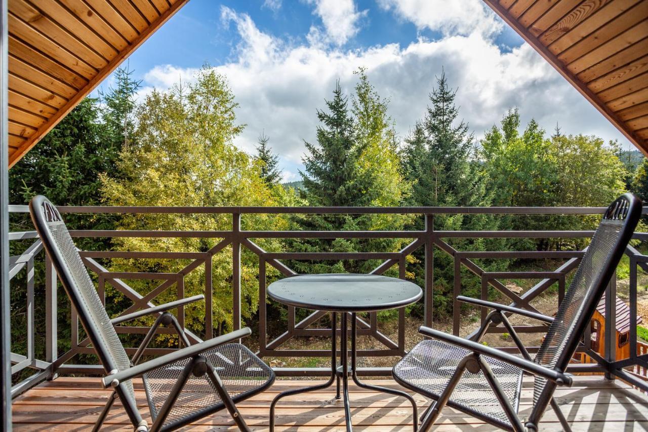 Ski Chalet Klinovec Loučná pod Klínovcem Buitenkant foto