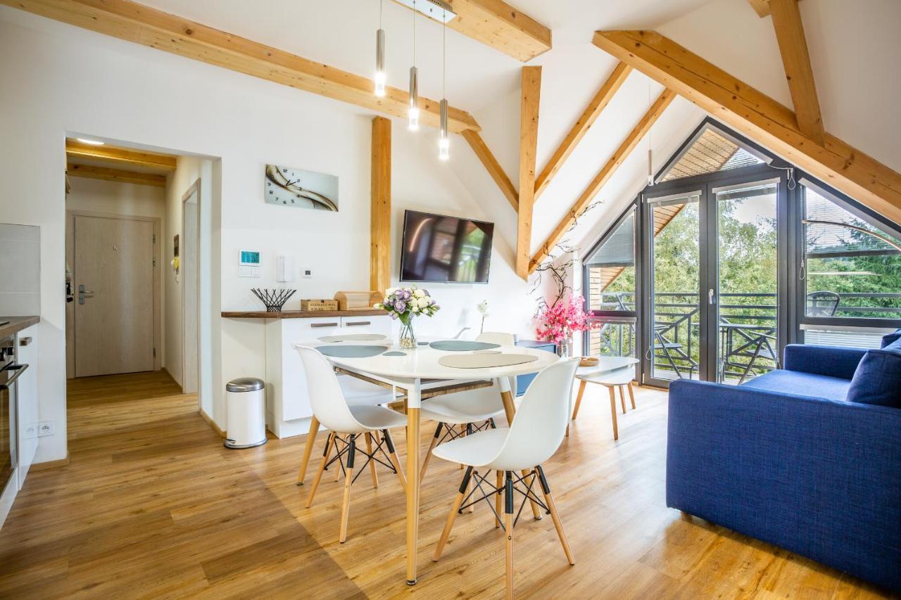 Ski Chalet Klinovec Loučná pod Klínovcem Buitenkant foto