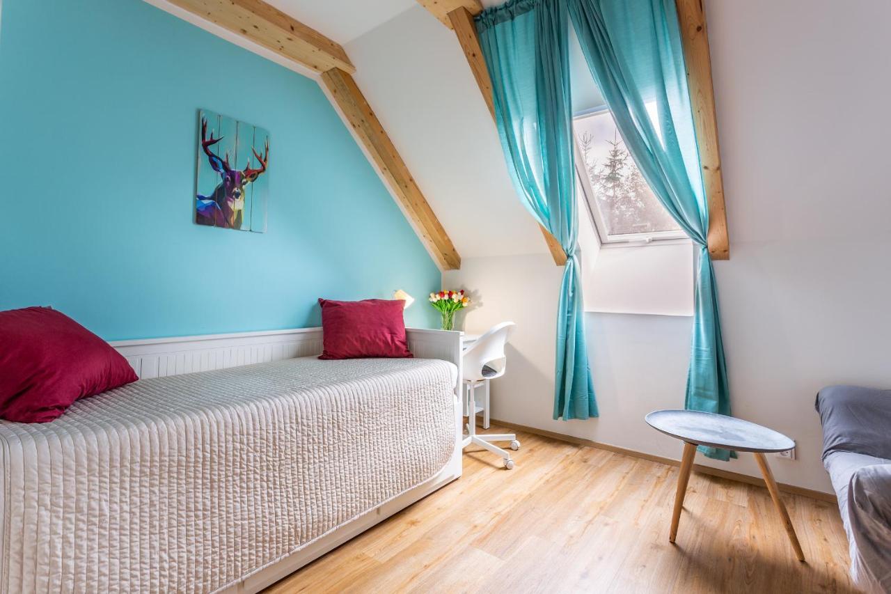 Ski Chalet Klinovec Loučná pod Klínovcem Buitenkant foto